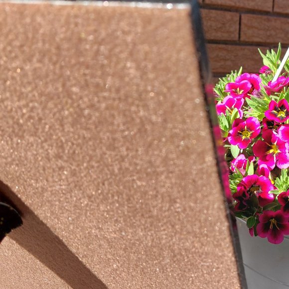 Chess & Checkerboard Big Set - Picture 5 of 10